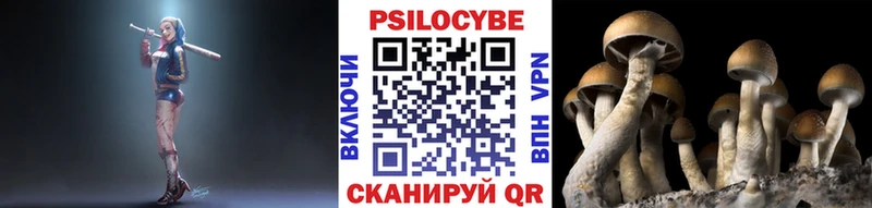 Галлюциногенные грибы мухоморы  Купить где  Высоковск 